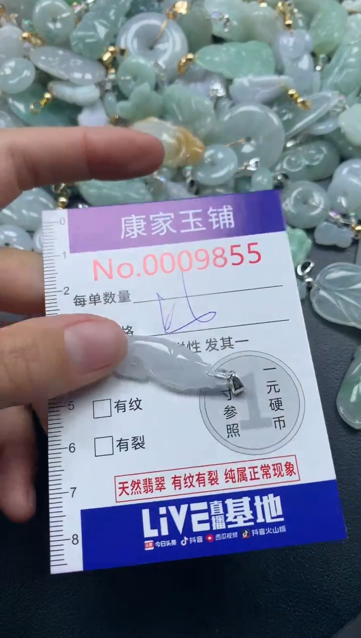 颈饰未镶嵌翡翠9855