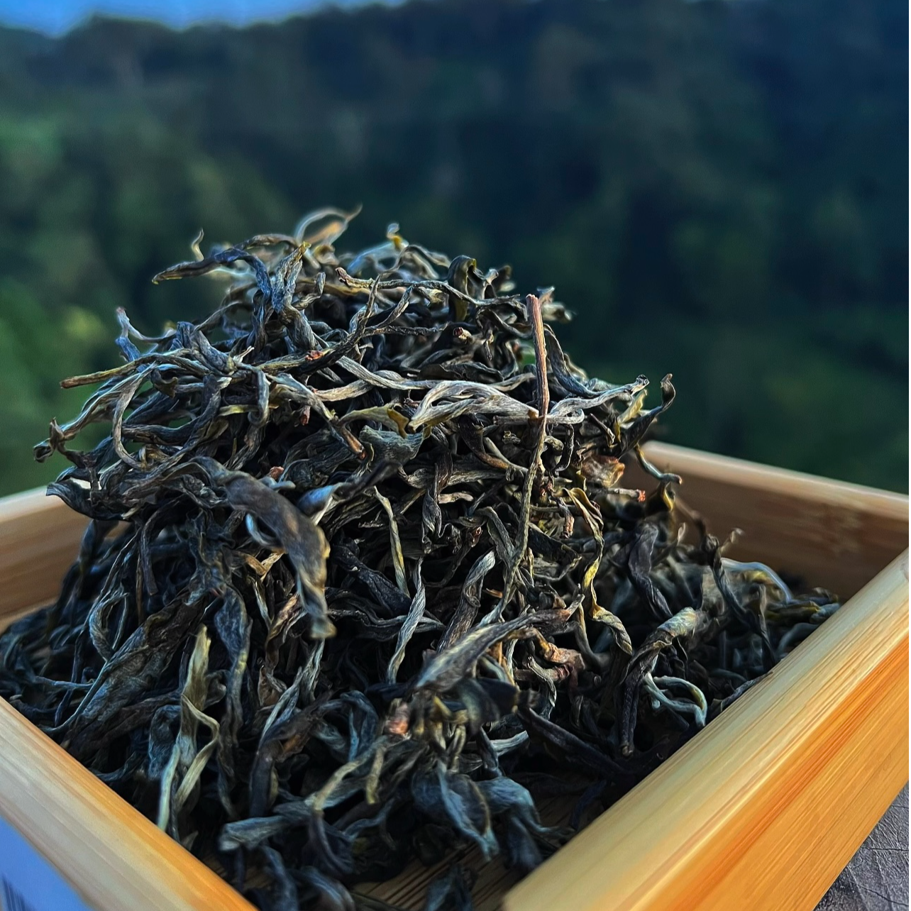 【2025年曼松春茶】散茶1000g，口感独特 口粮茶严选