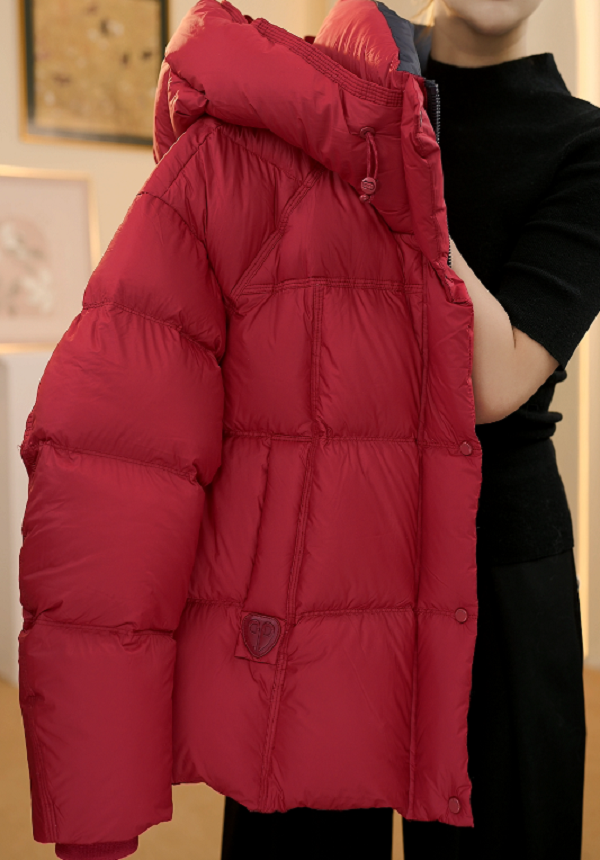 2025爆款加厚立领连帽保暖羽绒服