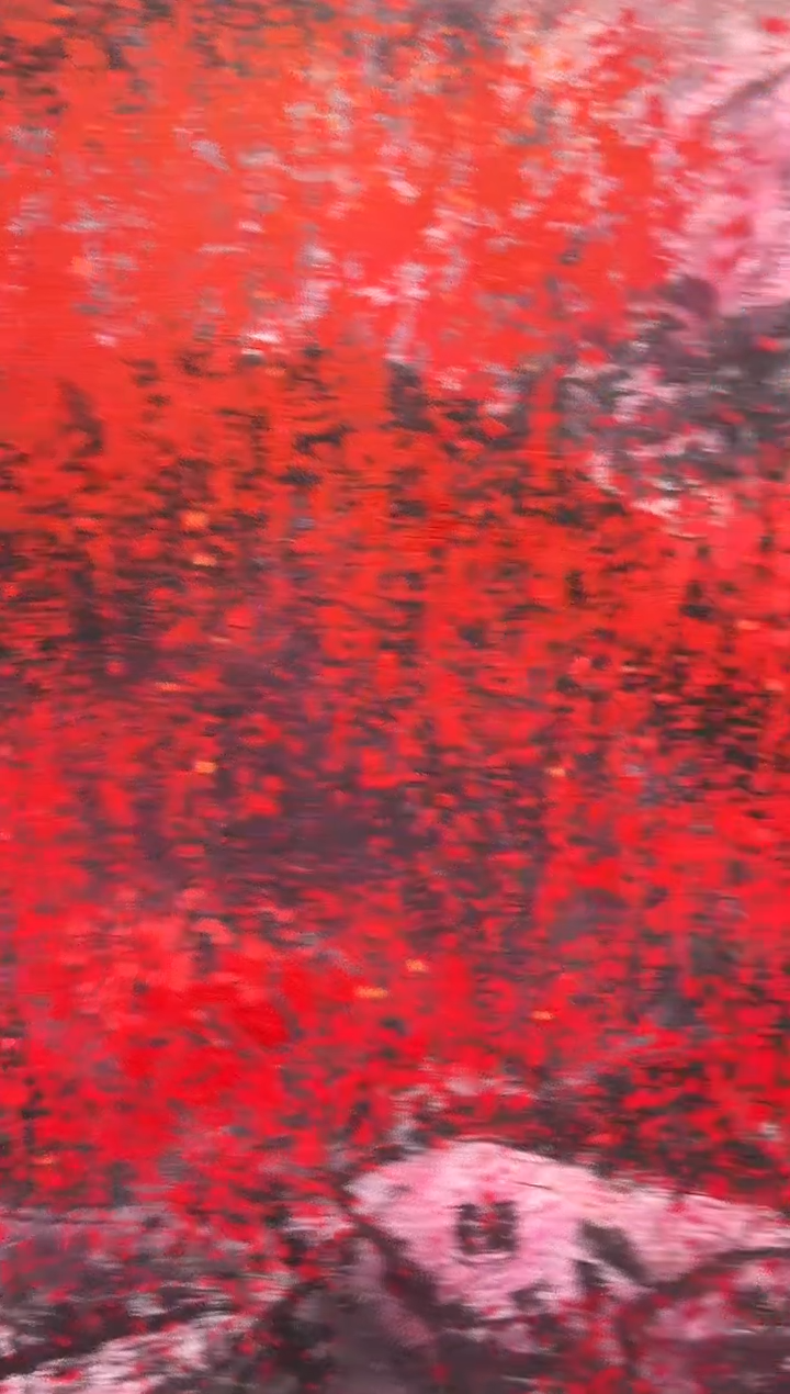 【闪购商品】国画郑乐华绘画手绘作品7-53