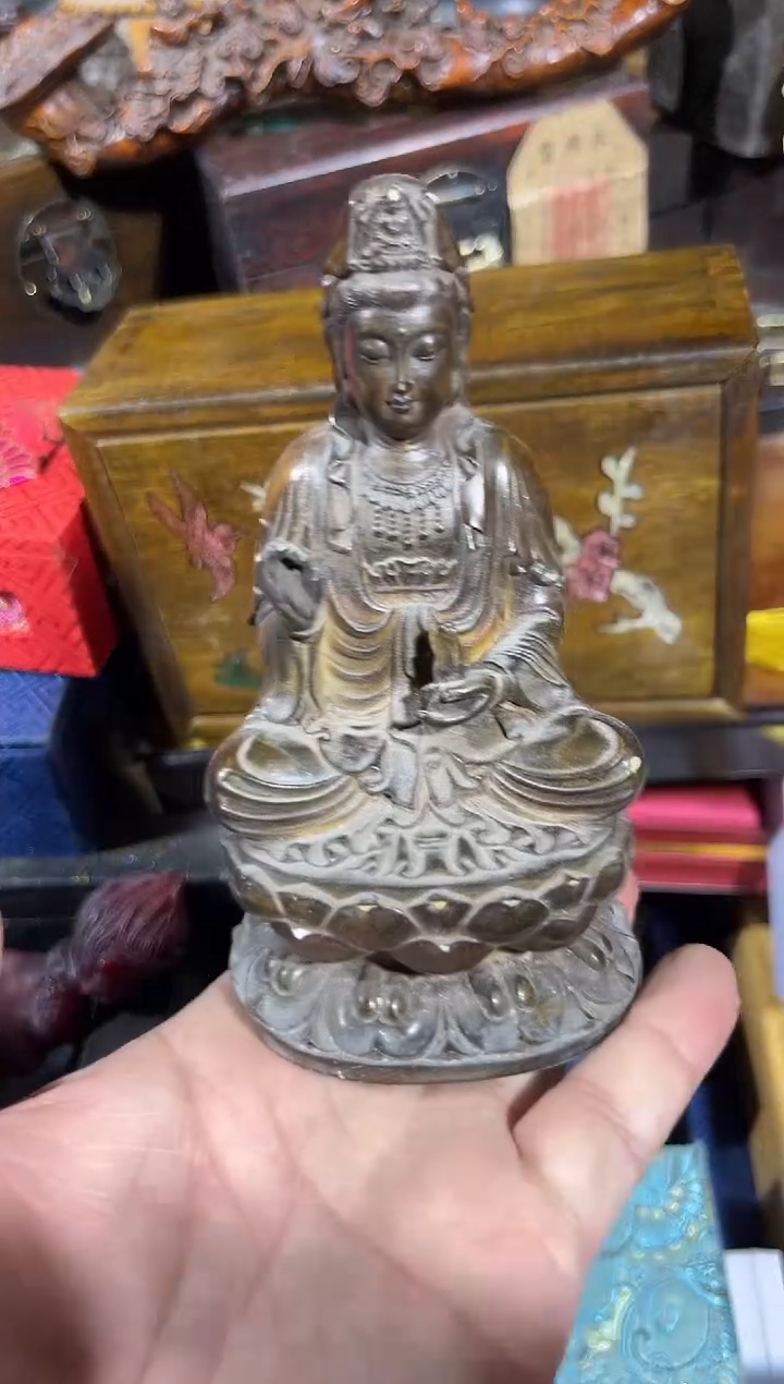 【闪购商品】黄杨木11111111111111111111