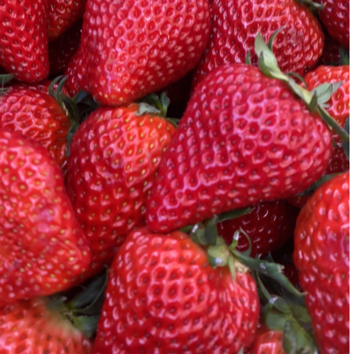 （当季热卖）红颜草莓一盒，500克