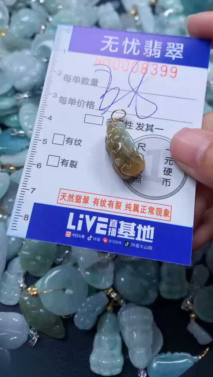 颈饰未镶嵌翡翠8399