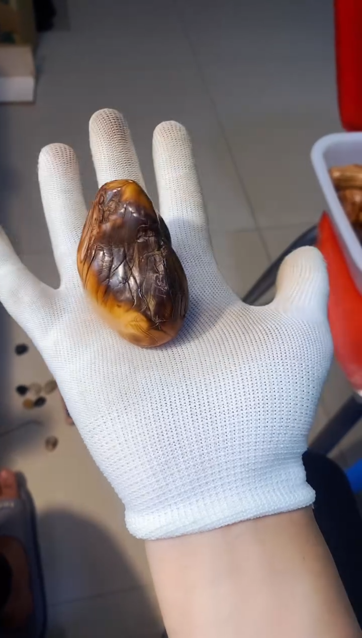 【闪购商品】柏木26崖柏崖柏崖柏崖柏崖柏