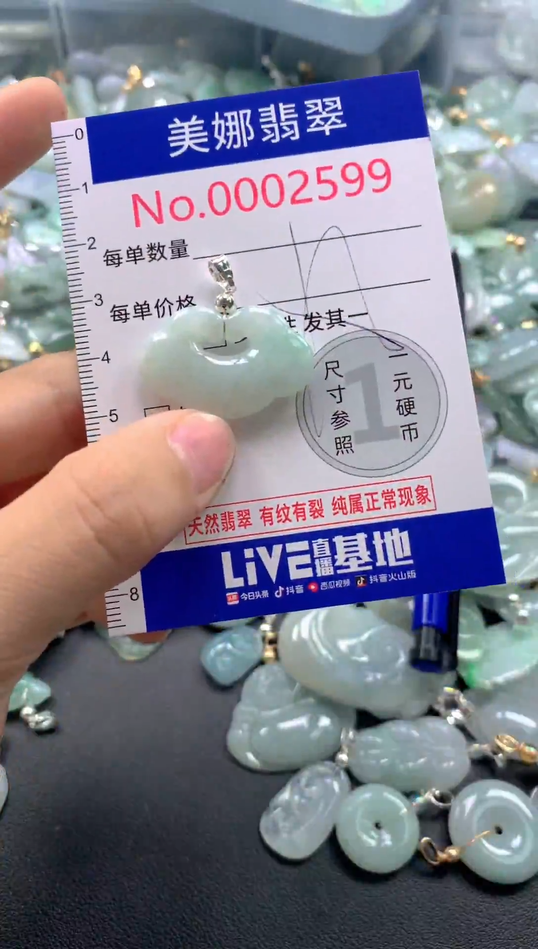 颈饰未镶嵌翡翠2599