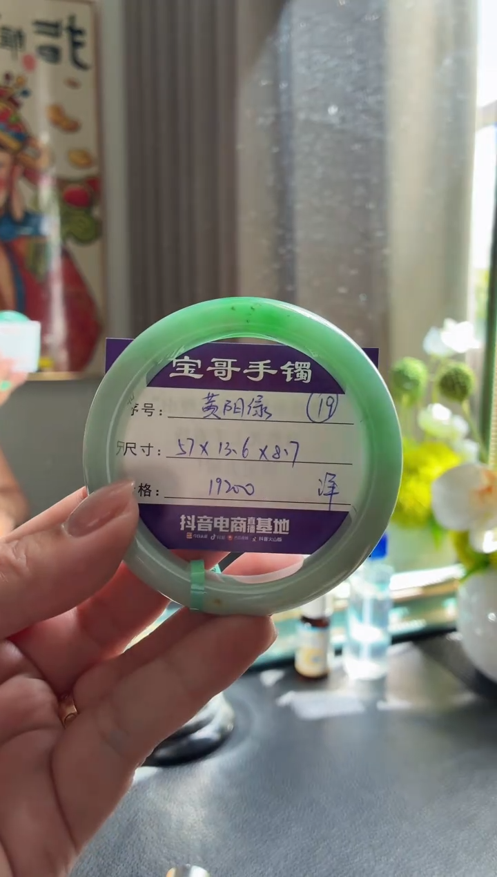 未镶嵌手镯翡翠翡翠手镯 19