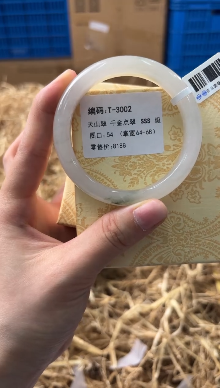 未镶嵌手镯石英质玉T3002