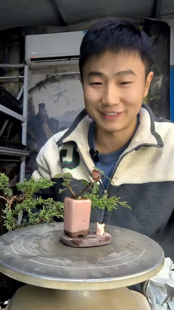D****>中青园艺一物一拍花150