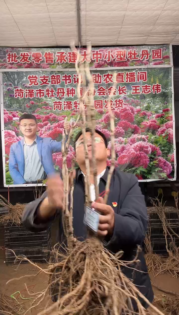闪购链接  花王7