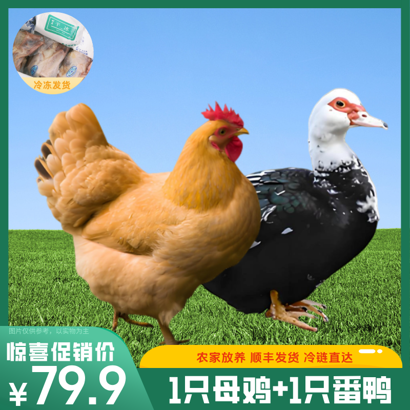 【买一送一】买一只老母鸡送一只（净膛）番鸭农家散养土鸡到手2只宰杀好8斤顺丰包邮  包冰率不含冰