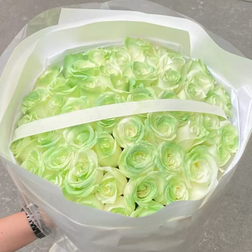 牛油果绿玫瑰 两单升顺丰冷链 收到需醒花 云南直发