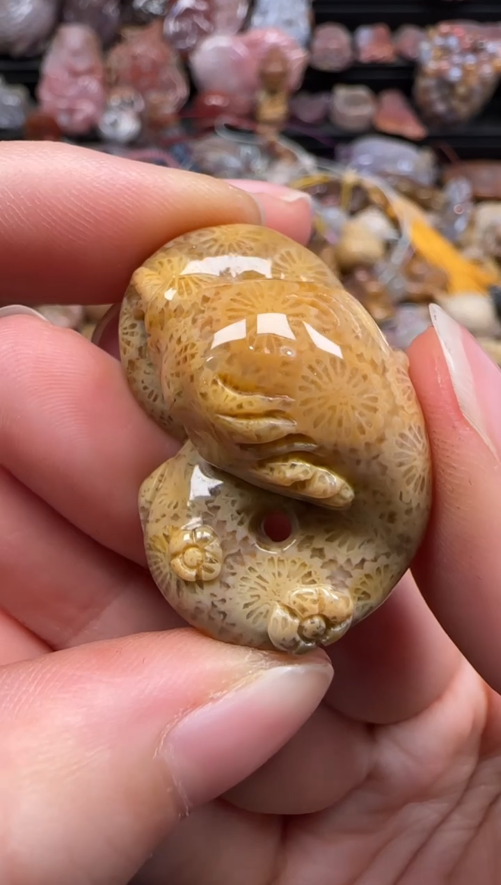 【闪购商品】硅化珊瑚（珊瑚玉）颈饰未镶嵌426