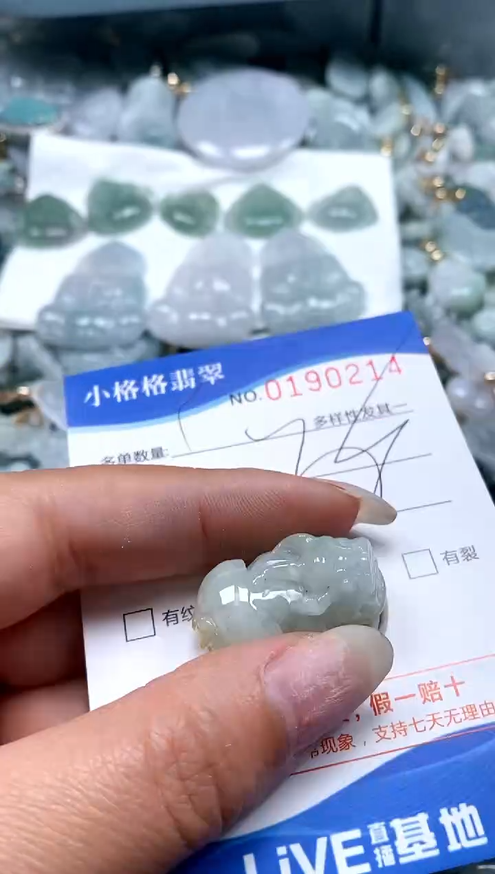 【闪购商品】翡翠颈饰未镶嵌闪购商品0190214