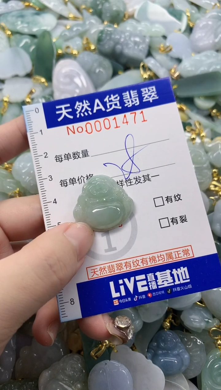 颈饰未镶嵌翡翠天然A货翡翠