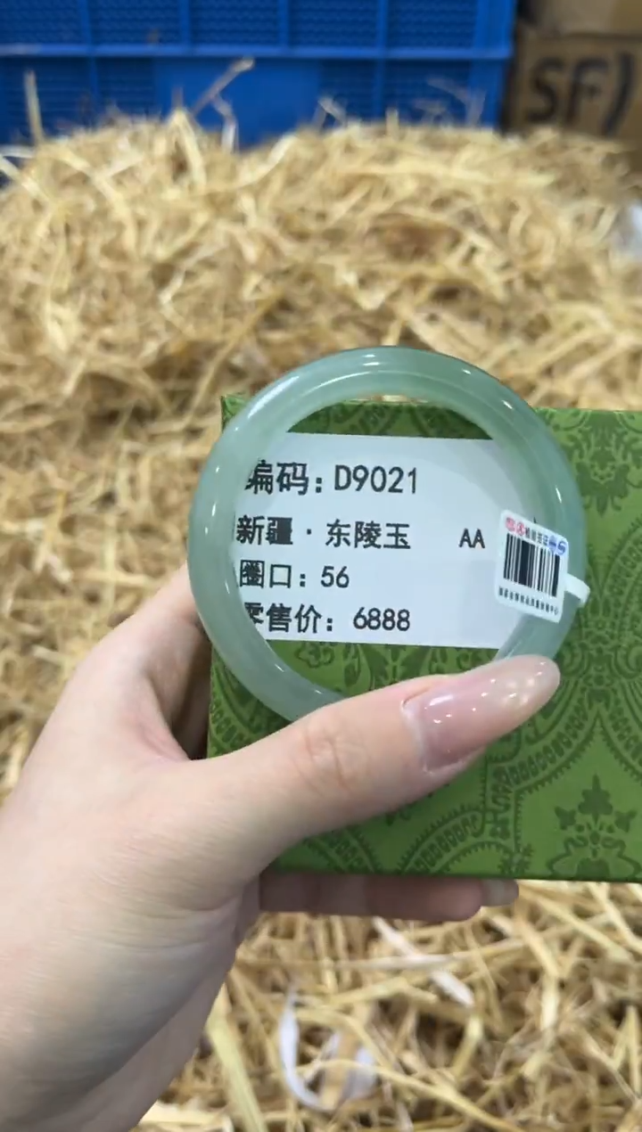 未镶嵌手镯石英质玉D9021
