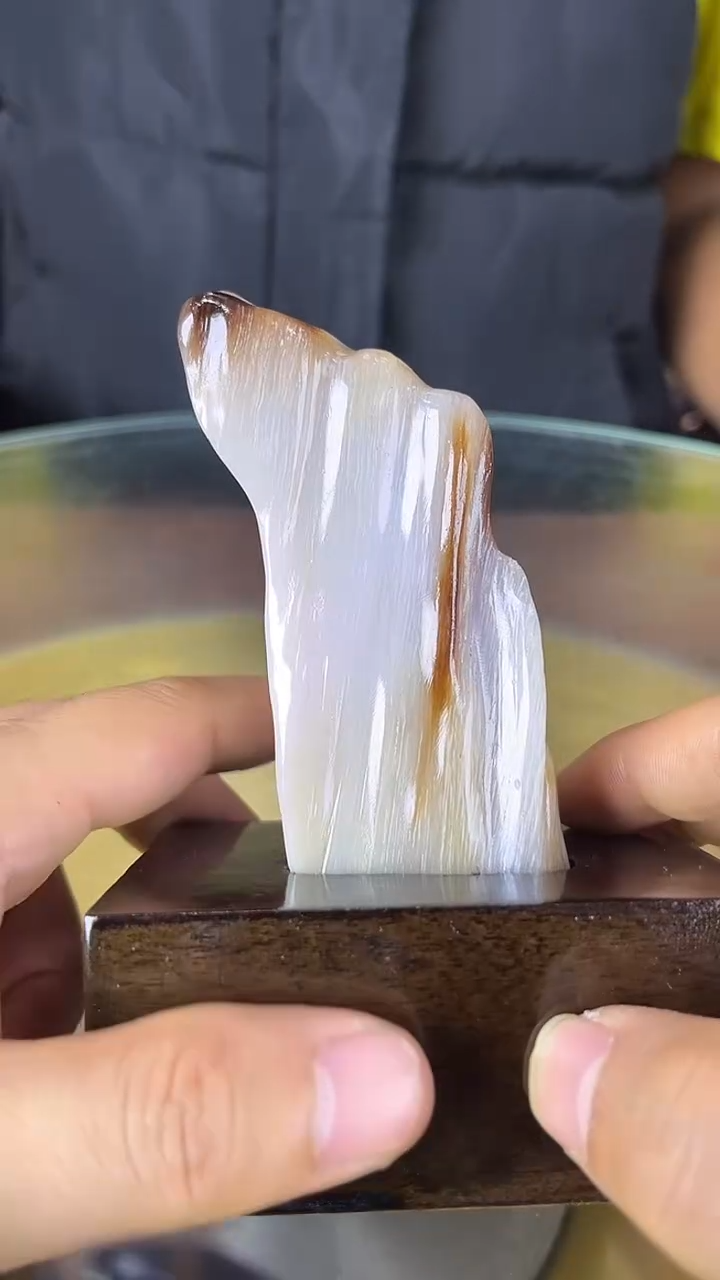 未镶嵌珠宝奇石硅化玉缅甸天然树化玉摆件