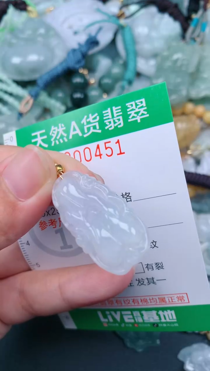 翡翠未镶嵌颈饰.0000451