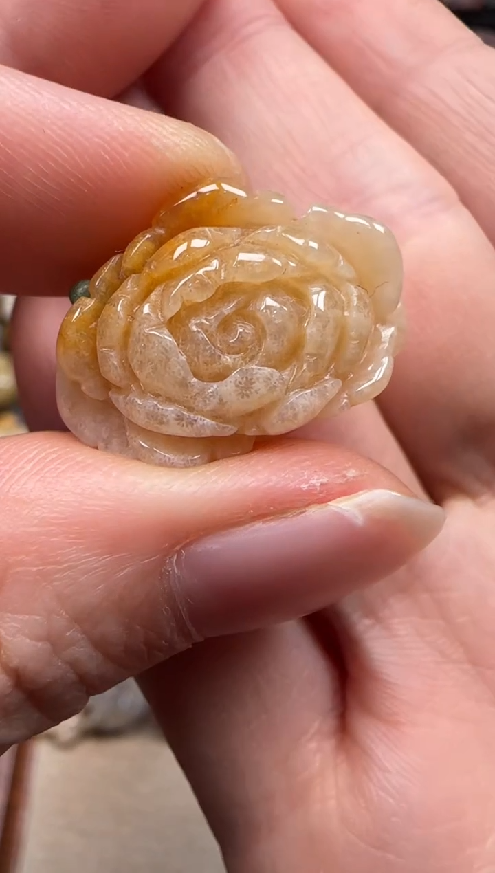 【闪购商品】硅化珊瑚（珊瑚玉）颈饰未镶嵌275