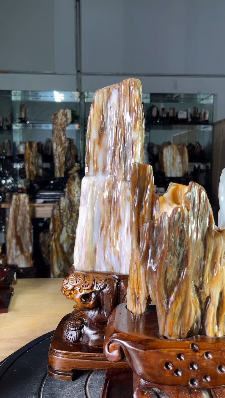 硅化玉珠宝奇石未镶嵌1