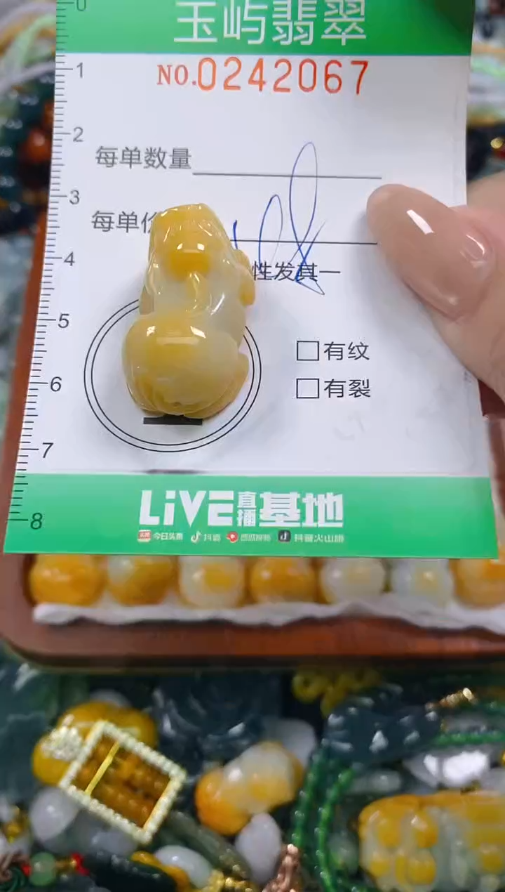 颈饰未镶嵌翡翠闪购0242067