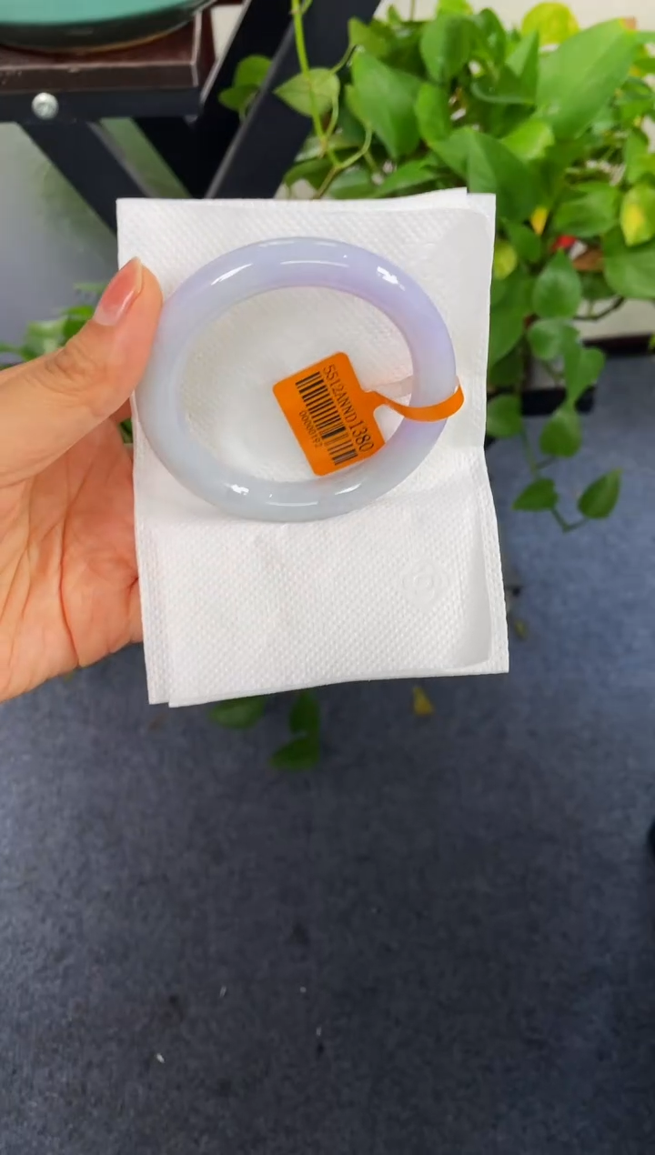 未镶嵌手镯翡翠029-56