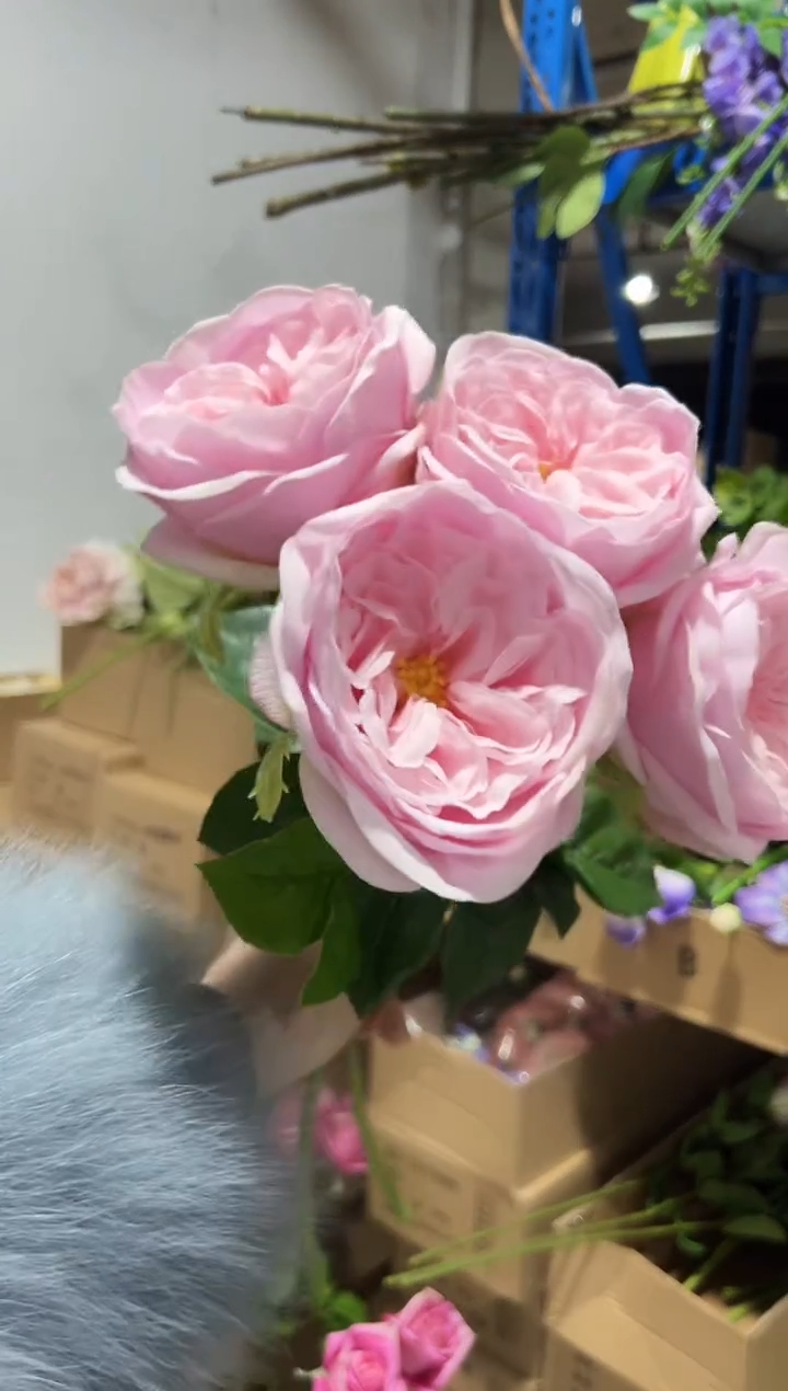 4枝粉色手感保湿朱丽叶