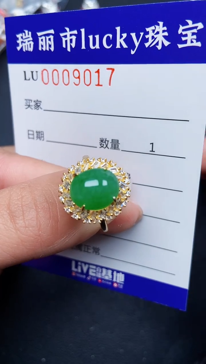 【闪购商品】翡翠颈饰银S925镶嵌9017