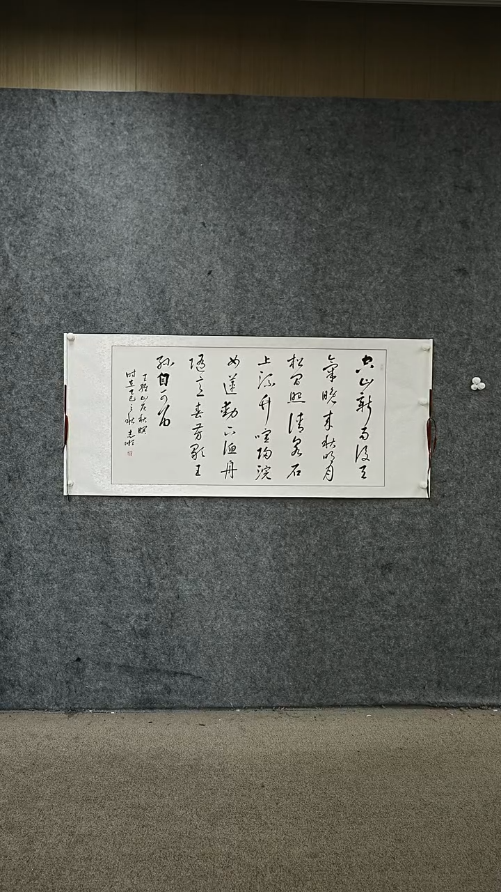 书法书法LZS老师作品