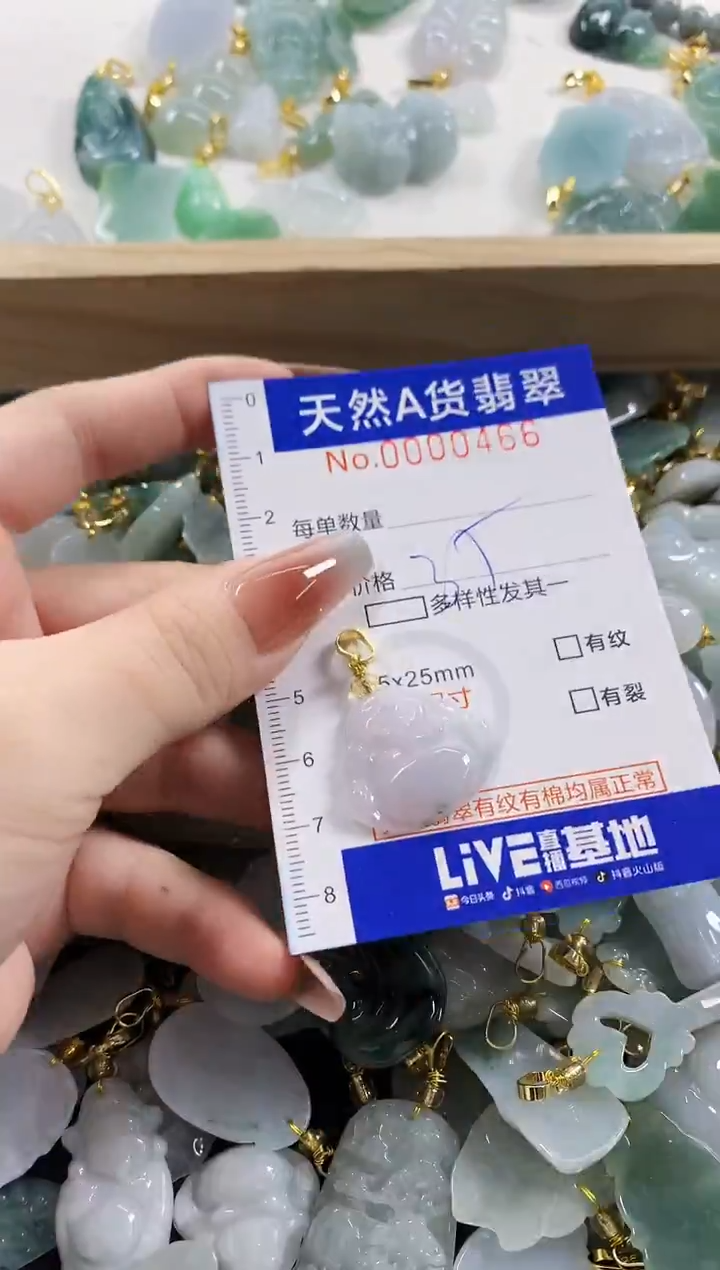 颈饰未镶嵌翡翠天然A货翡翠