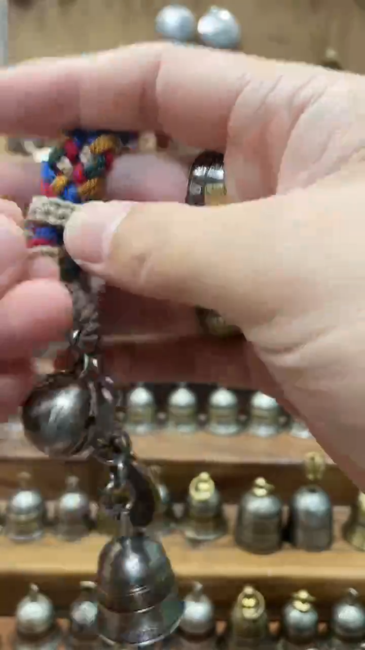 窵*利比里亚套装一套马一套羊