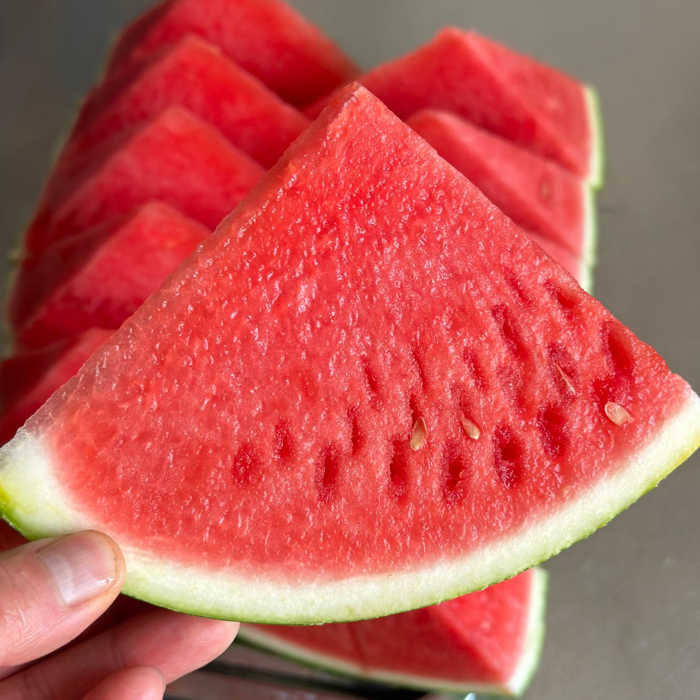 上海今天下午晚上到  ！ 新鲜水果内蒙古无籽西瓜高端麒麟瓜西瓜   