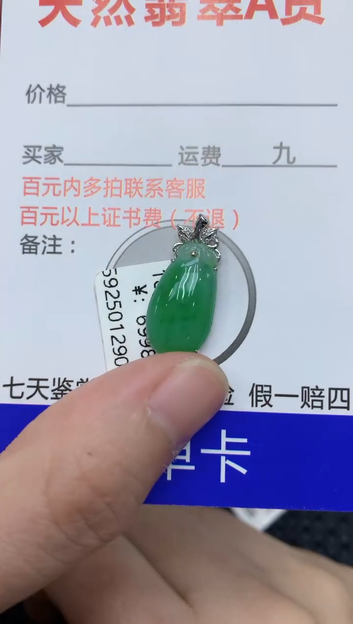 【闪购商品】翡翠颈饰18K金镶嵌11111111111