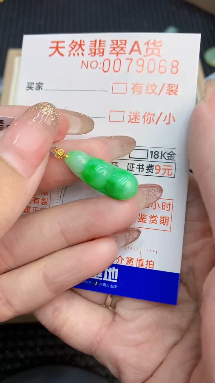 翡翠18K金镶嵌颈饰             8