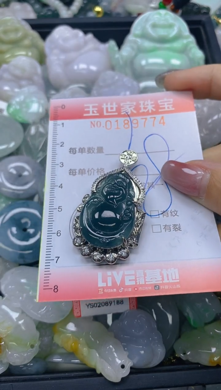 【闪购商品】翡翠颈饰未镶嵌闪购0189774