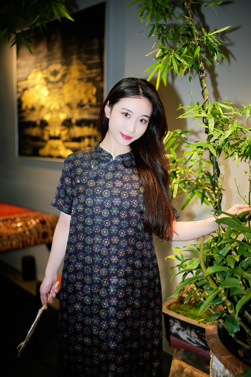 蓝大【錾凤】新中式桑蚕丝裙子7921