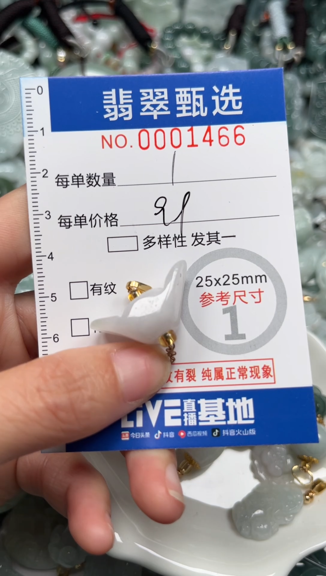 【闪购商品】翡翠颈饰未镶嵌00..1466