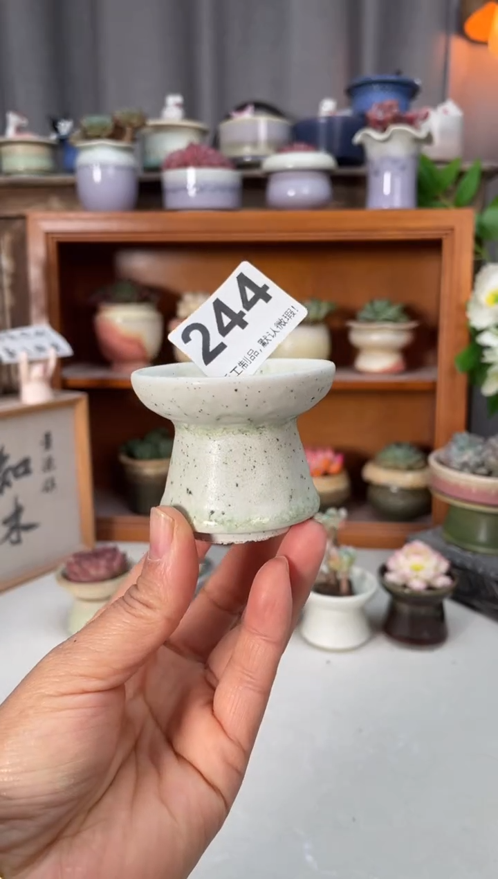 瓷片??244小芳直播编号