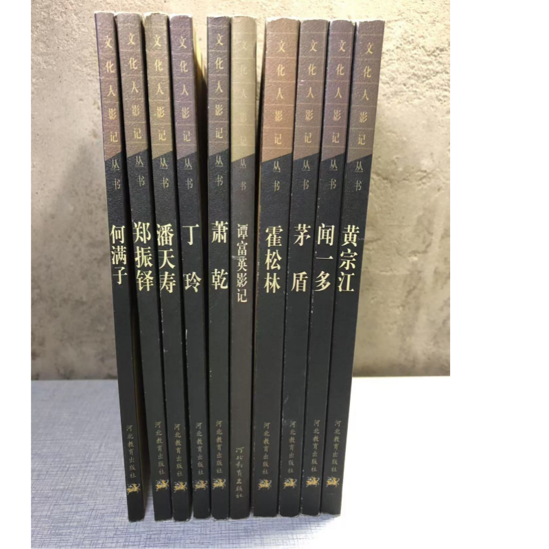 文化人影记丛书10本何满子郑振铎丁玲萧乾谭富英矛盾闻一多黄宾虹