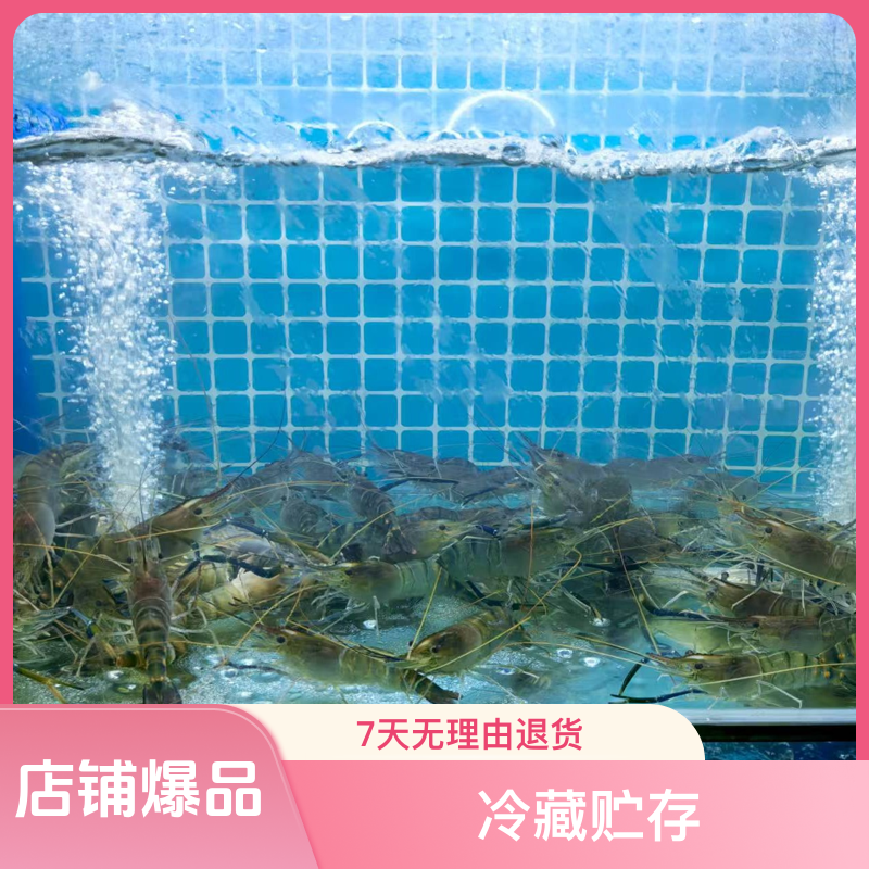 罗氏虾/青虾/藻虾 约250g