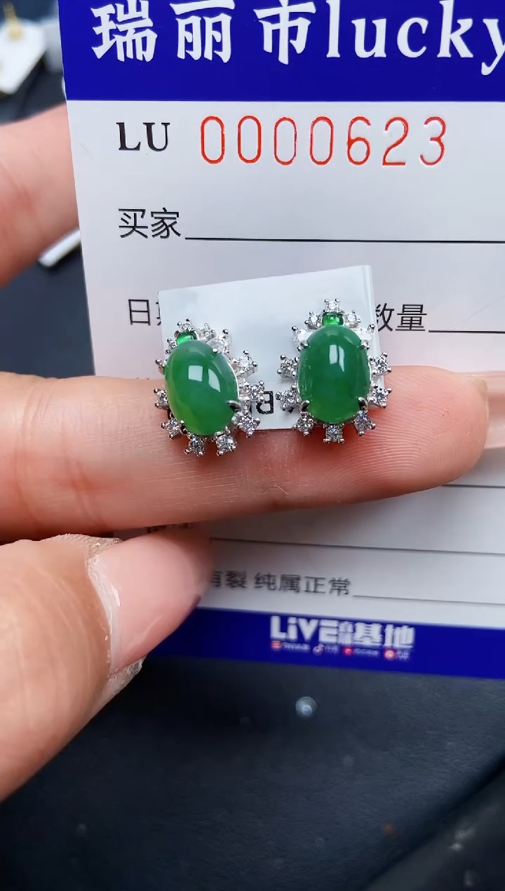 【闪购商品】翡翠颈饰银S925镶嵌0623