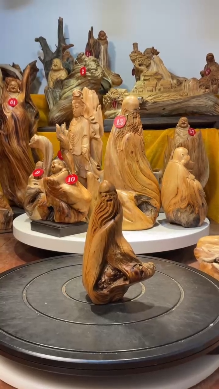 【闪购商品】柏木（崖柏）  寿星