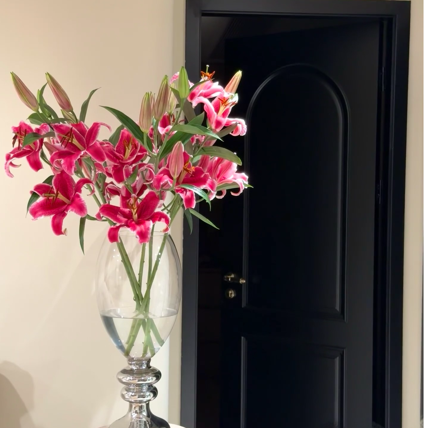 祖宗严选【黑美人百合】云南产地直发 | 新鲜采摘