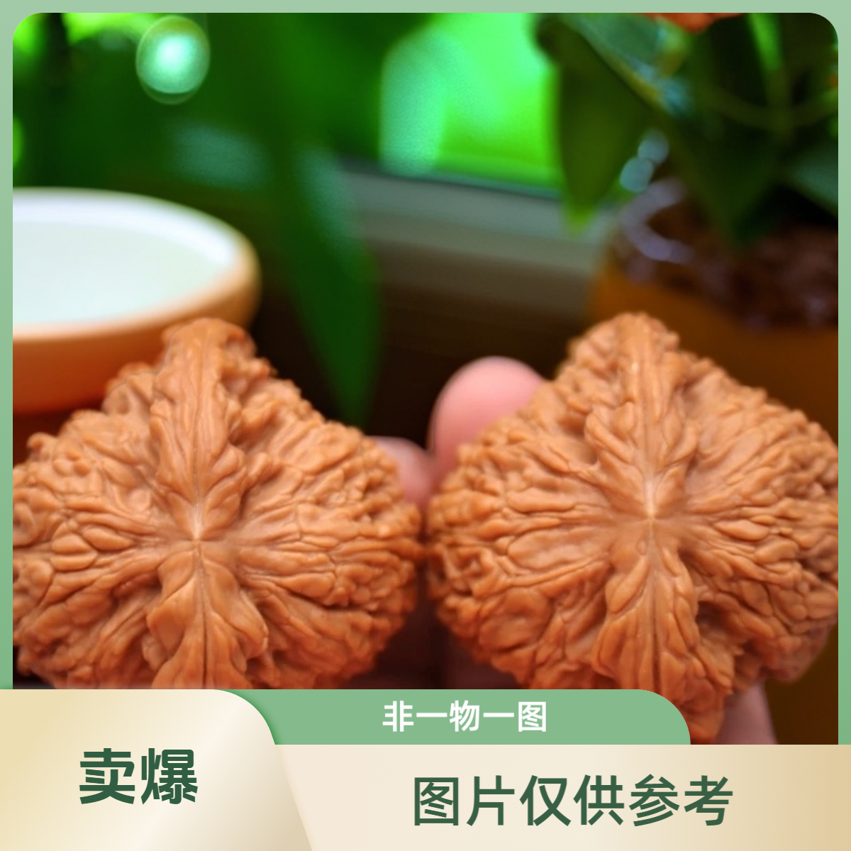 42尺正宗精打底老树原桩涿鹿三角丑南疆文玩核桃适合盘完收藏