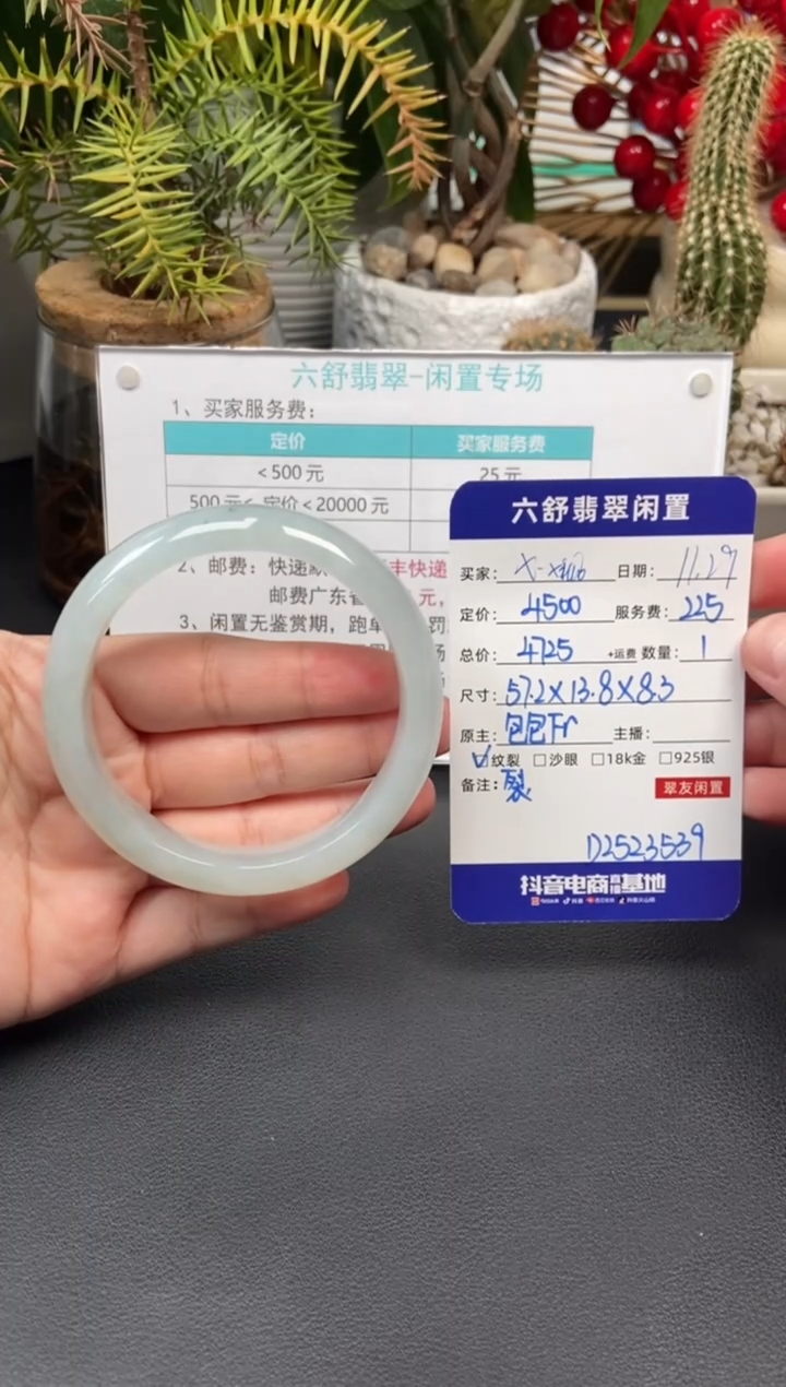 未镶嵌手镯翡翠X****nD2523539
