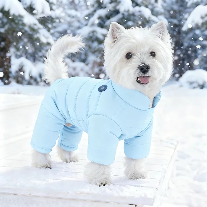 狗狗衣服四脚秋冬季宠物保暖厚棉服2025新款雪纳瑞比熊泰迪小型犬