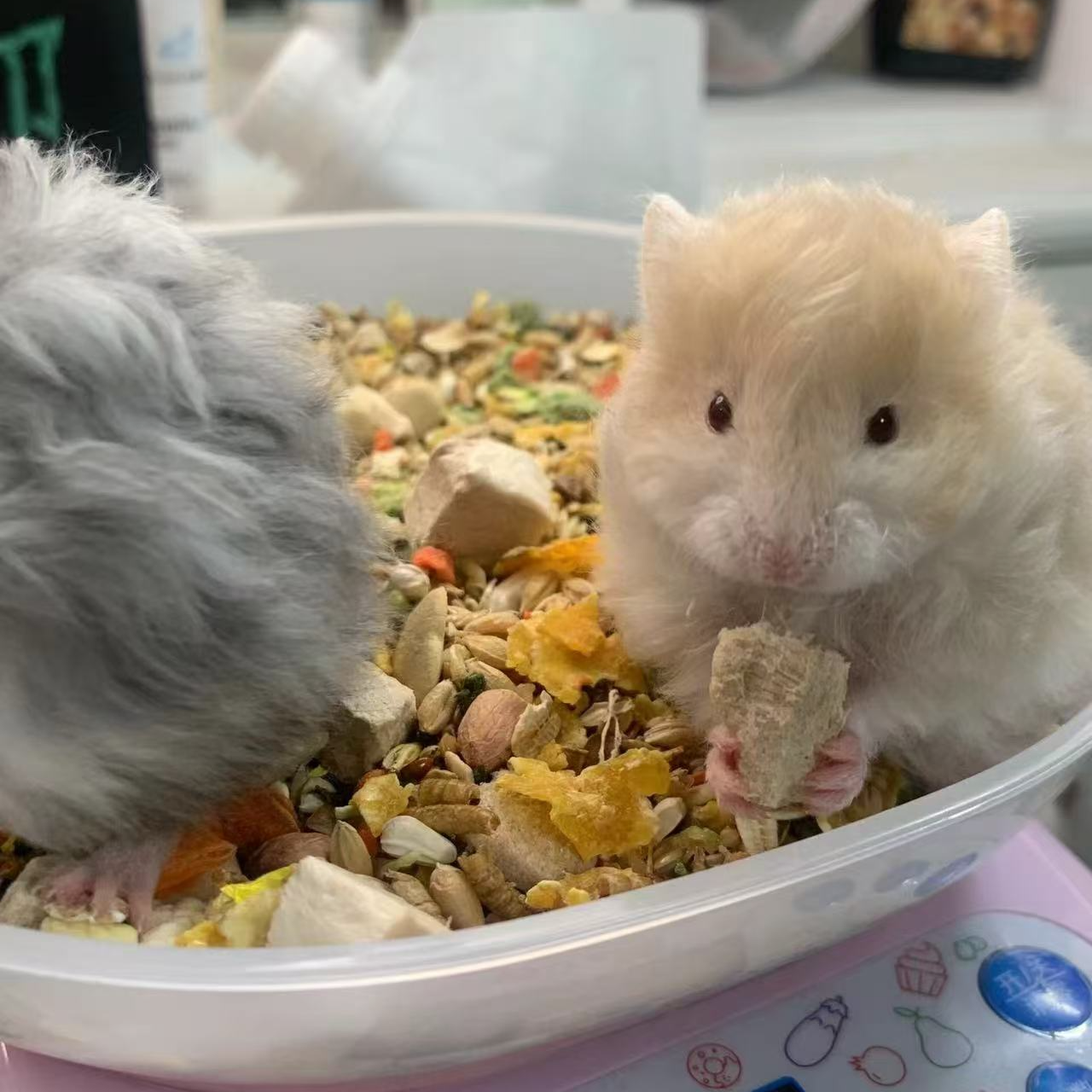 营养自配粮 仓鼠粮食主粮饲料金丝熊专用增肥长肉冻干五谷粮