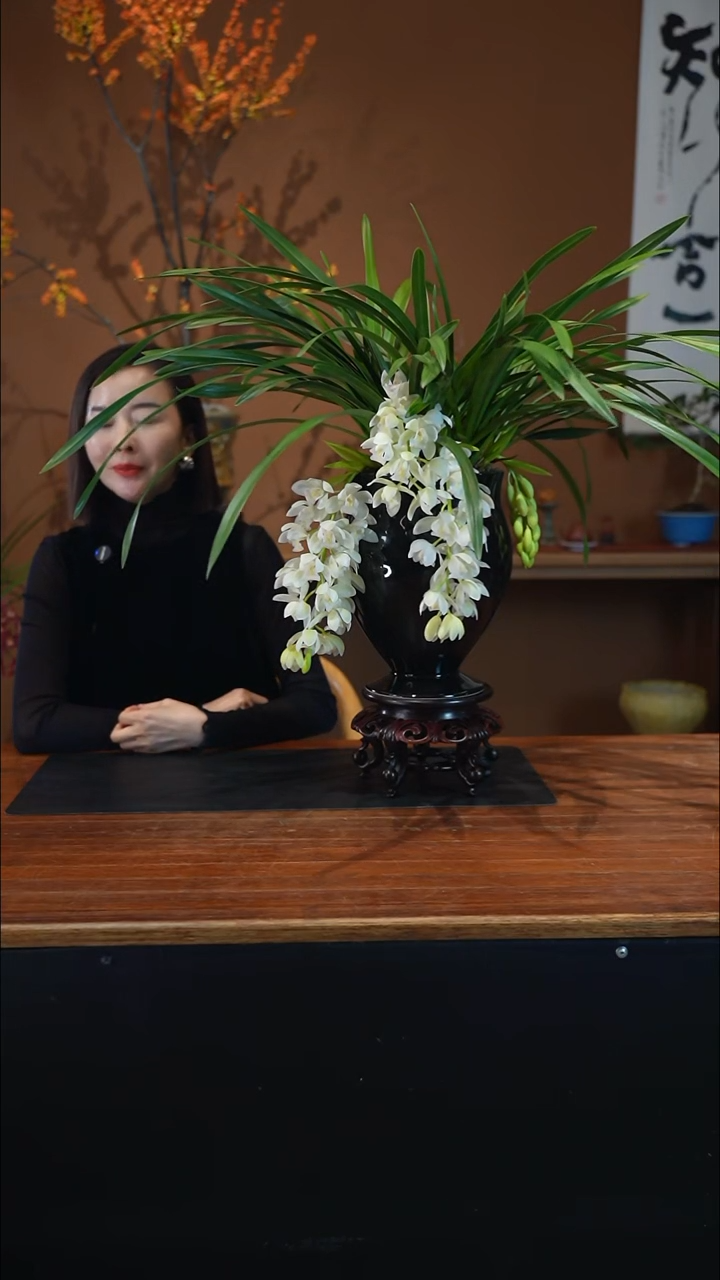 全部花朵冰瀑黑盆盆景盆景盆景