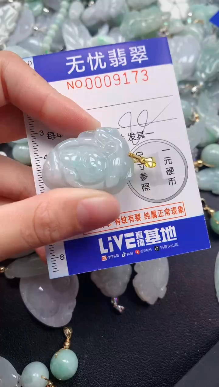 颈饰未镶嵌翡翠9173