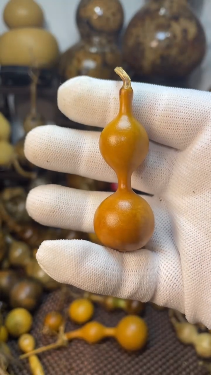 【闪购商品】葫芦葫芦葫芦葫芦