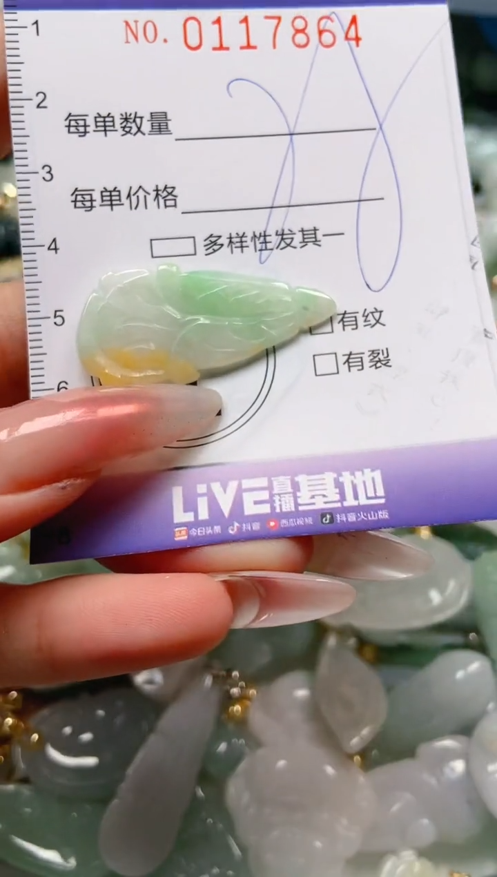 【闪购商品】翡翠颈饰未镶嵌闪购0117864